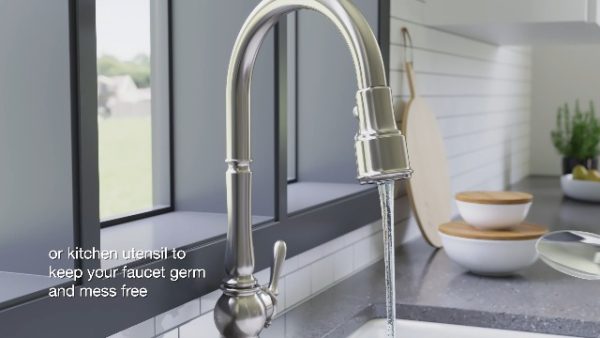 KOHLER Artifacts Kitchen Faucet - Image 7