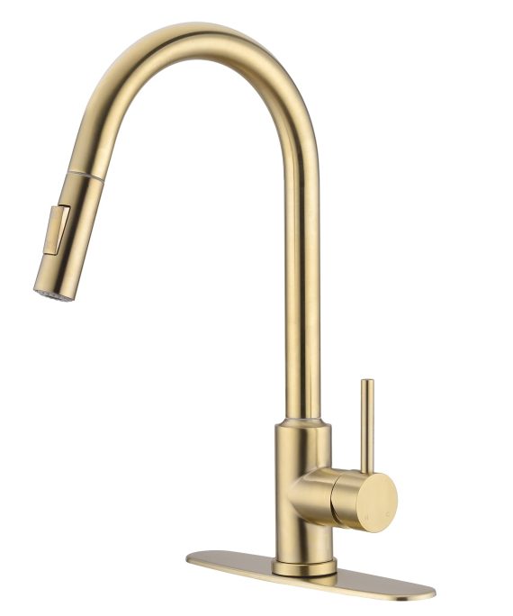 Kitchen Faucet with Pull Down Sprayer