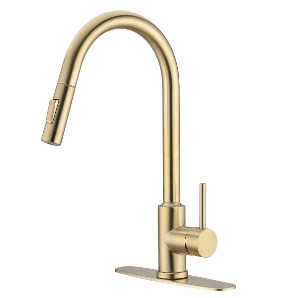 Kitchen Faucet with Pull Down Sprayer