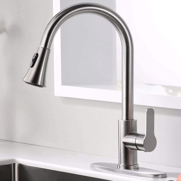 AMAZING FORCE Kitchen Faucet with Pull Down Sprayer
