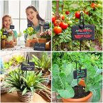 10 Pcs Slate Garden Signs Waterproof Reusable Garden Markers - Image 3