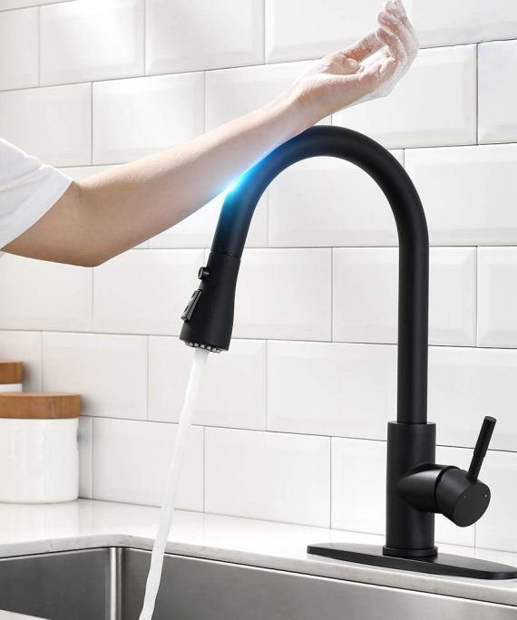 Kitchen Faucet with Pull Down Sprayer