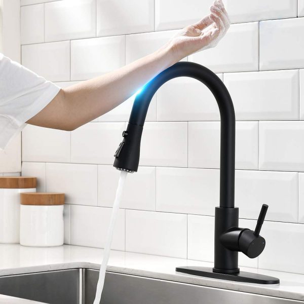 Kitchen Faucet with Pull Down Sprayer
