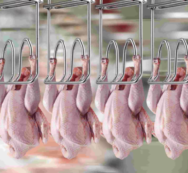 Stainless Steel Double Hook Poultry Hanger – Ideal for Butcher Shops, Restaurants, and Kitchens - Image 4